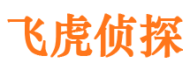 碑林市私家侦探